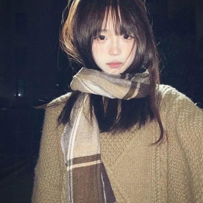 仆人