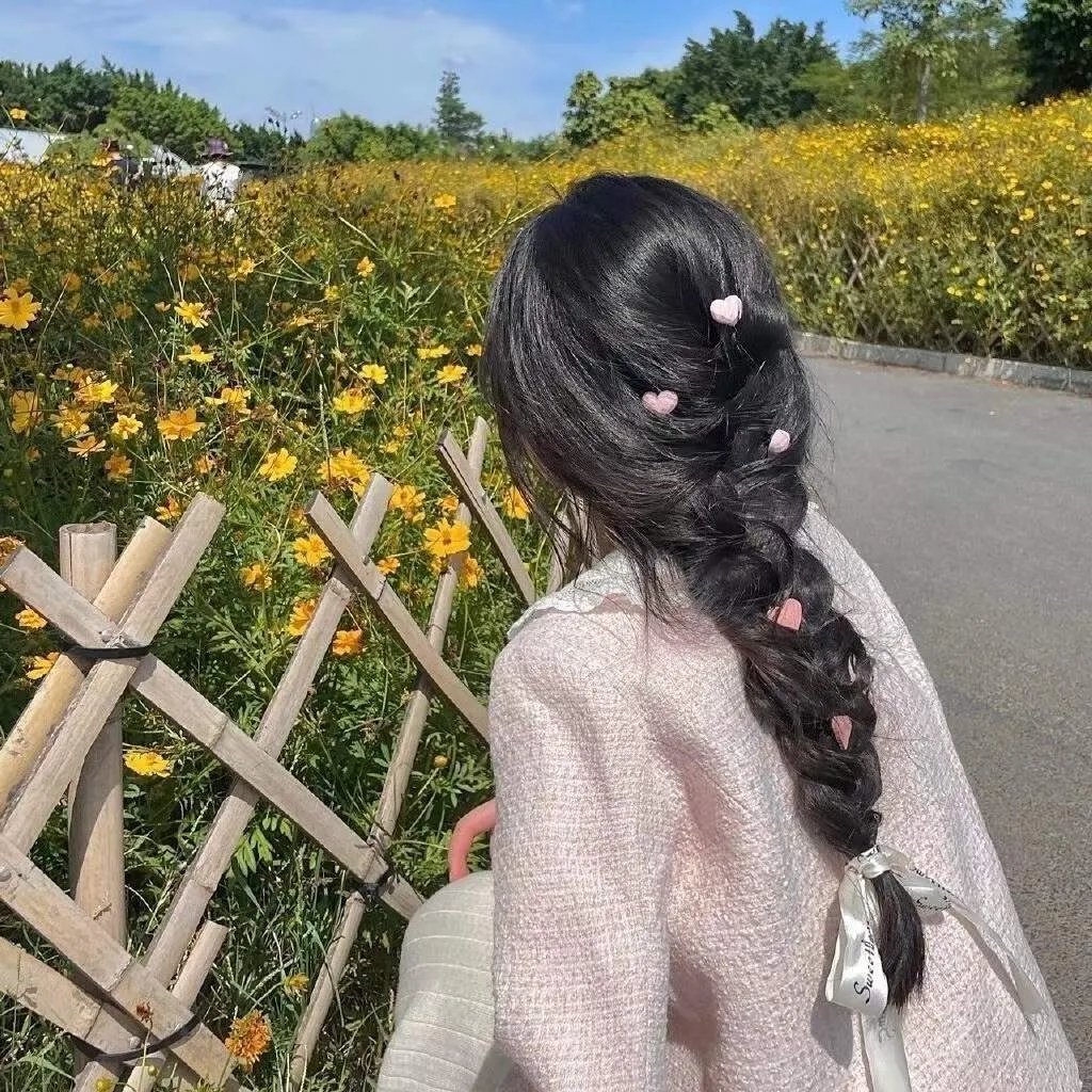 南北大状